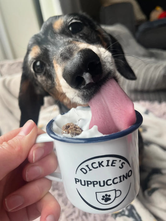 Name Pup Cup Enamel Cup