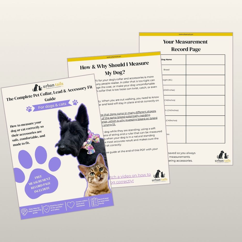 Measurement guide for pets with a black dog and brown cat illustration 