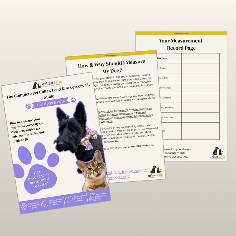 Measurement guide for pets with a black dog and brown cat illustration 