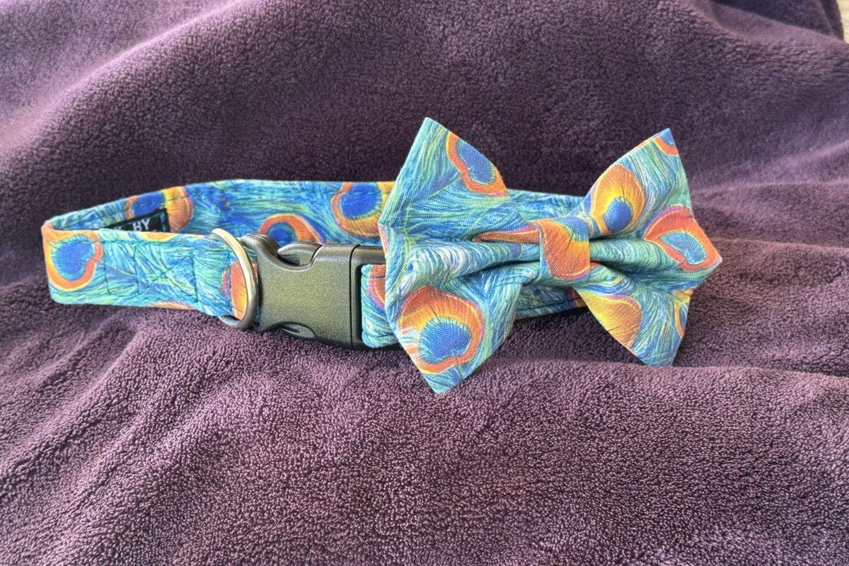 Dog collar with a peacock feather pattern and matching bow tie on a purple fabric background