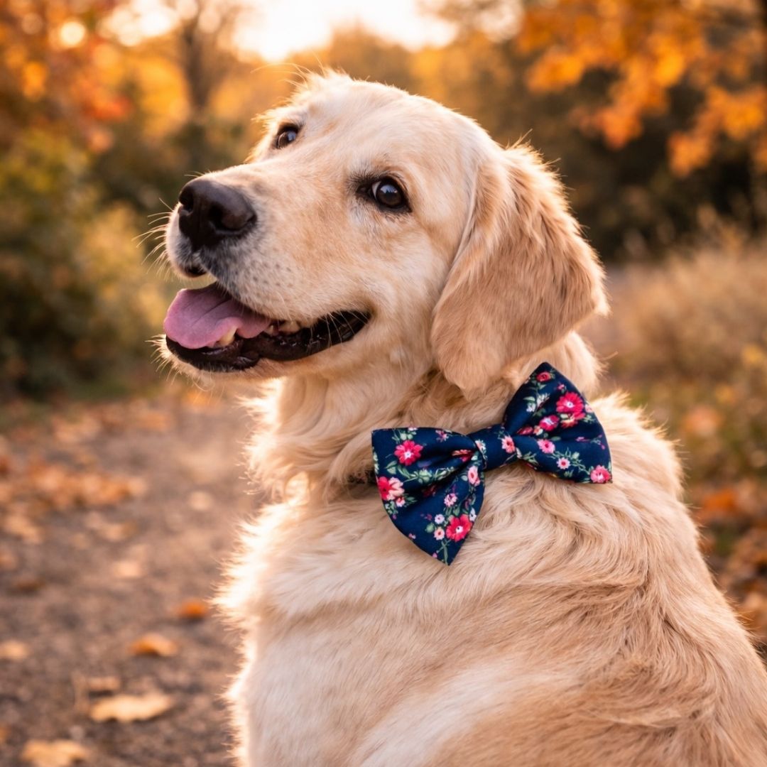 Dog wearing a bloom floral bow tie in an outdoor setting with autumn leaves.