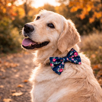 Dog wearing a bloom floral bow tie in an outdoor setting with autumn leaves.