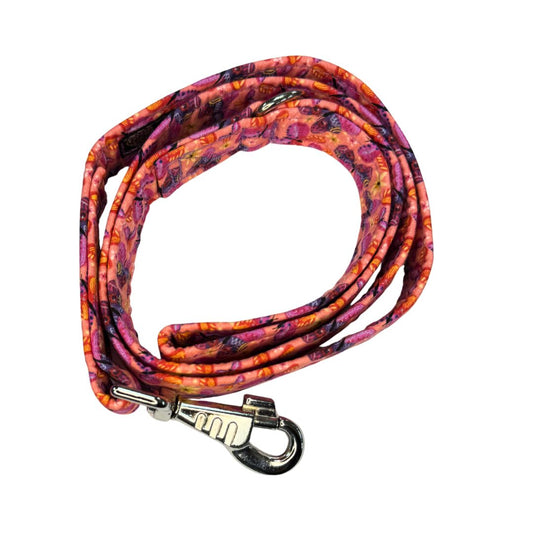 Colourful dog lead with a metal clasp and d ring