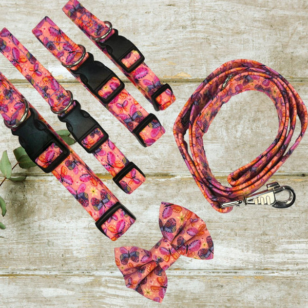 Dog collar, leash, and bow tie set with pink and orange butterfly pattern on a wooden surface.