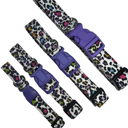 Set of four animal print dog collars with purple buckles