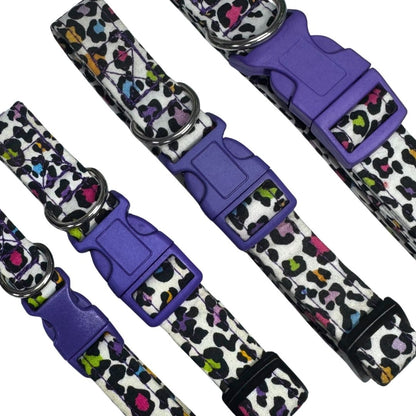 Four colourful dog collars with purple buckles