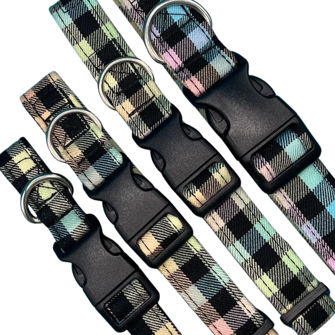 Rainbow Check Collar