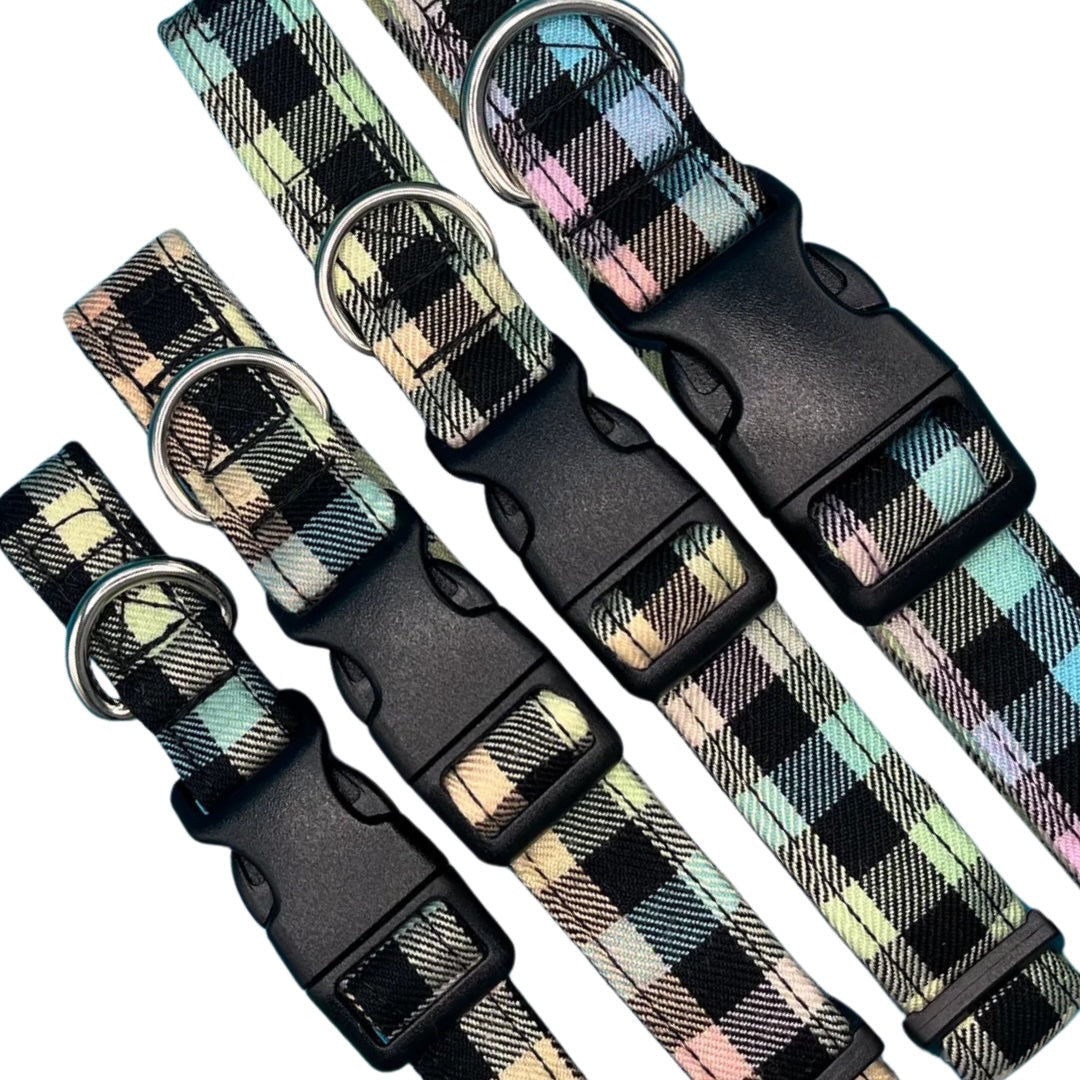 A collection of adjustable dog collars with a rainbow checkered pattern, featuring plastic buckles and metal D rings.