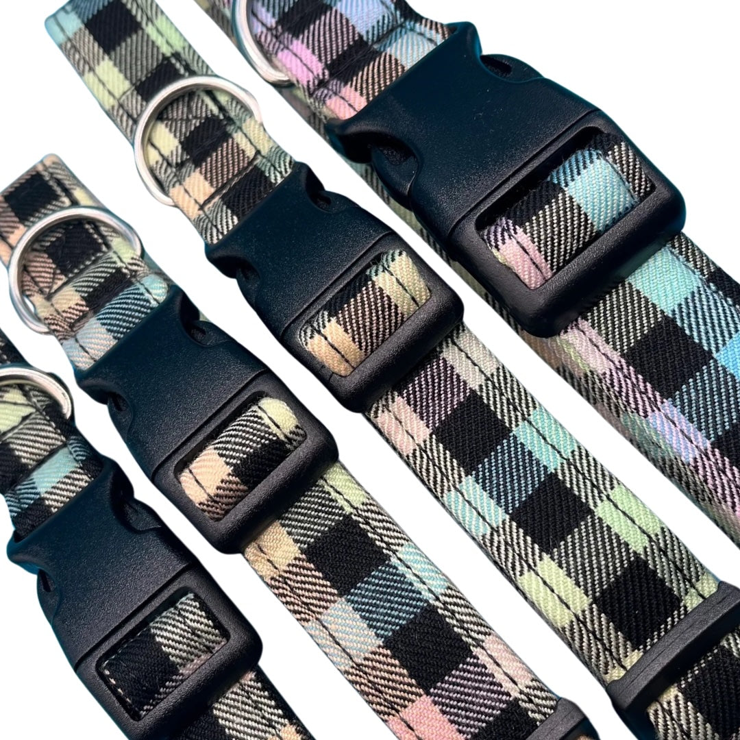 A collection of adjustable dog collars with a rainbow checkered pattern, featuring plastic buckles and metal D rings.