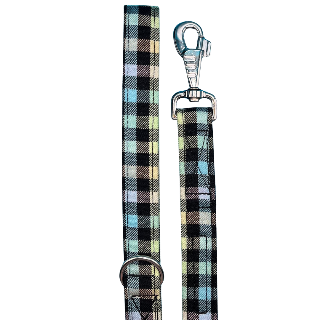 A rainbow check dog lead with silver metal hardware, including a large swivel clip and metal D ring.