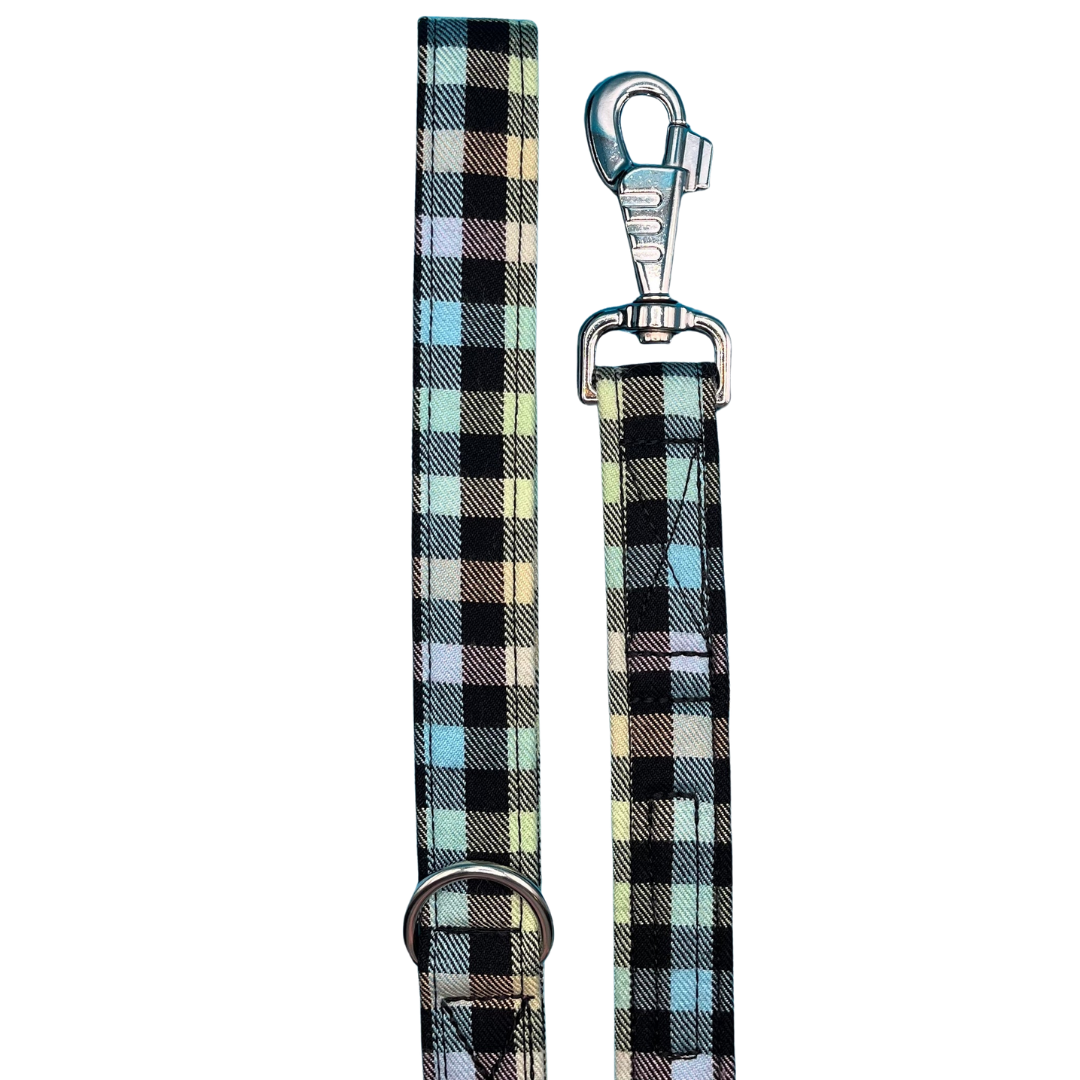 Gingham Rainbow Dog Lead