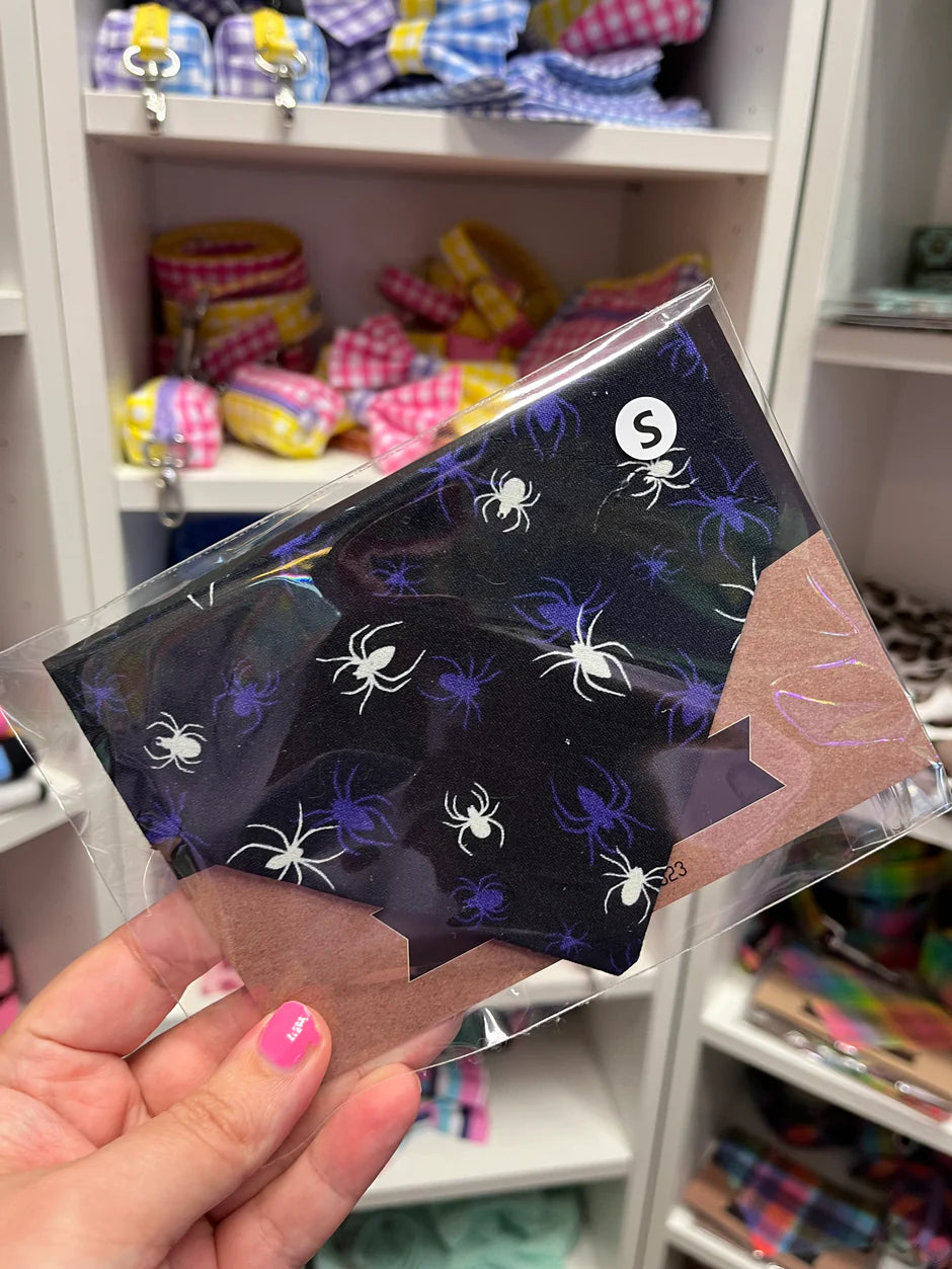 Packaging with urban tails branding and a spider design dog bandana on a dark background