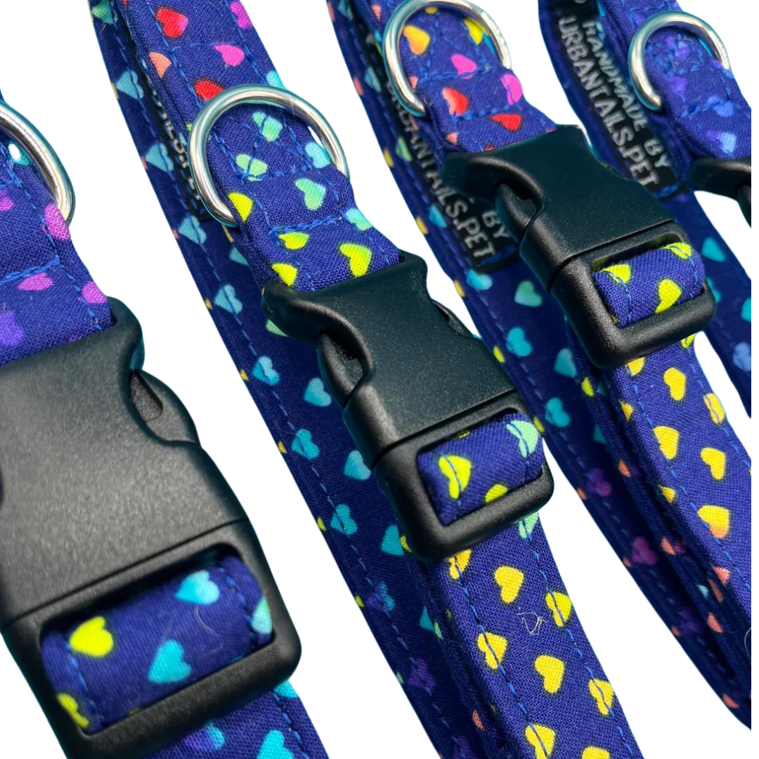 A close-up of a blue dog collar with a heart polka dot pattern, showing a plastic buckle and D-ring.