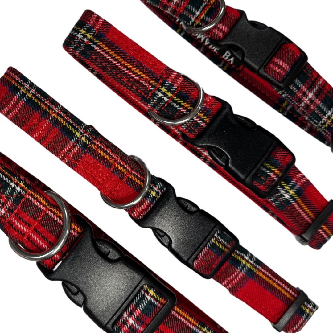 A collection of adjustable red and black tartan dog collars with plastic buckles and metal D rings.