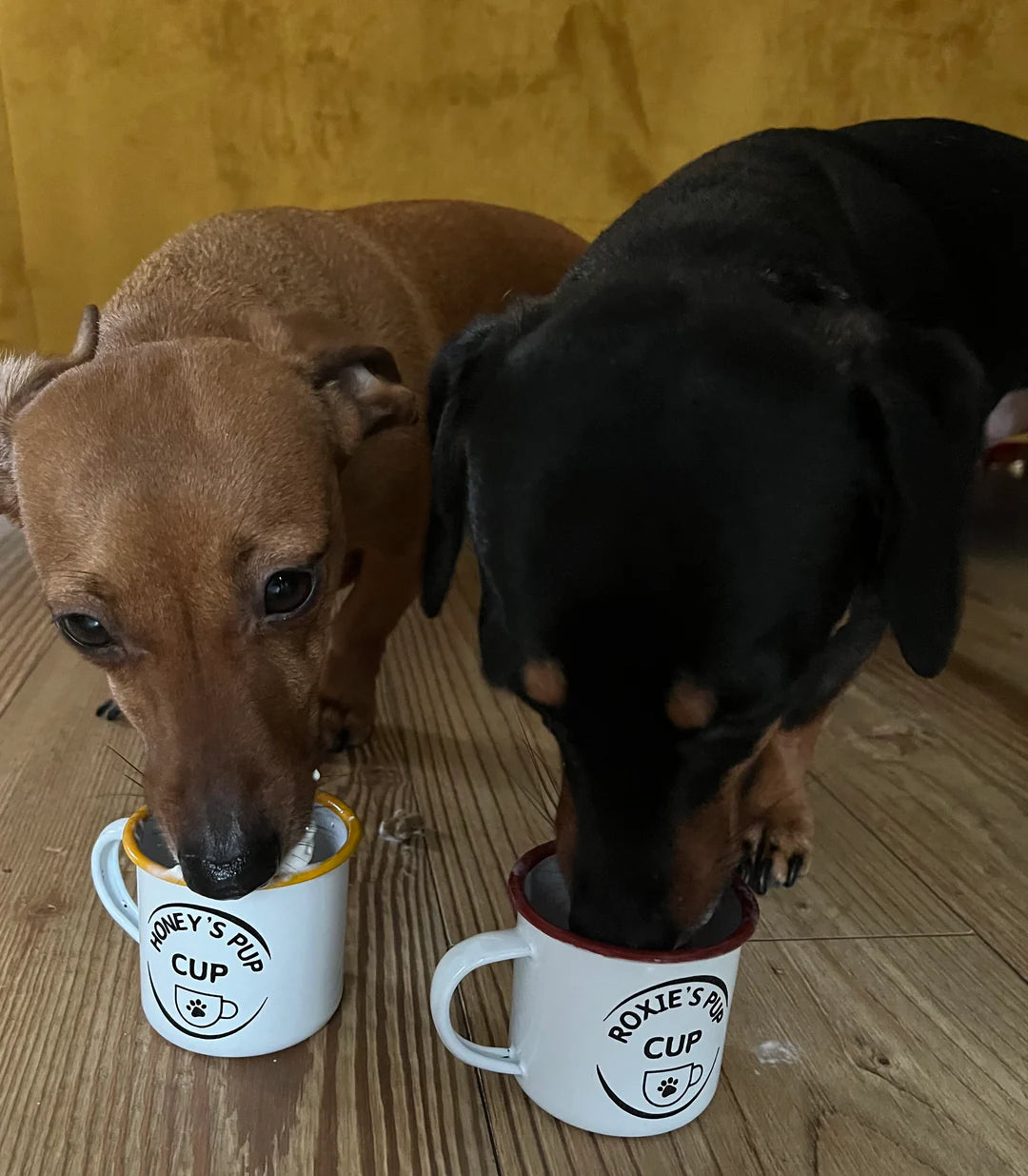 Name Pup Cup Enamel Cup