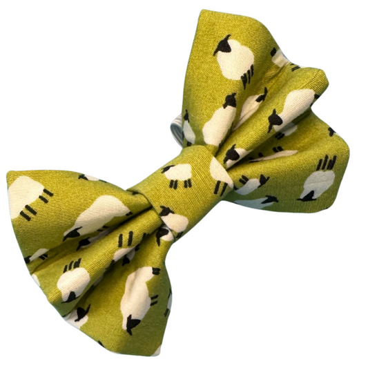 Counting Sheep Dog Bow