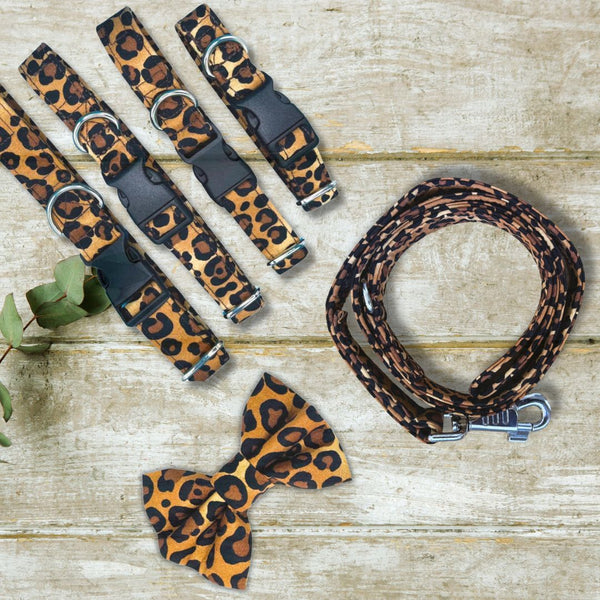 Leopard print dog collar, leash, and bow tie on a wooden surface