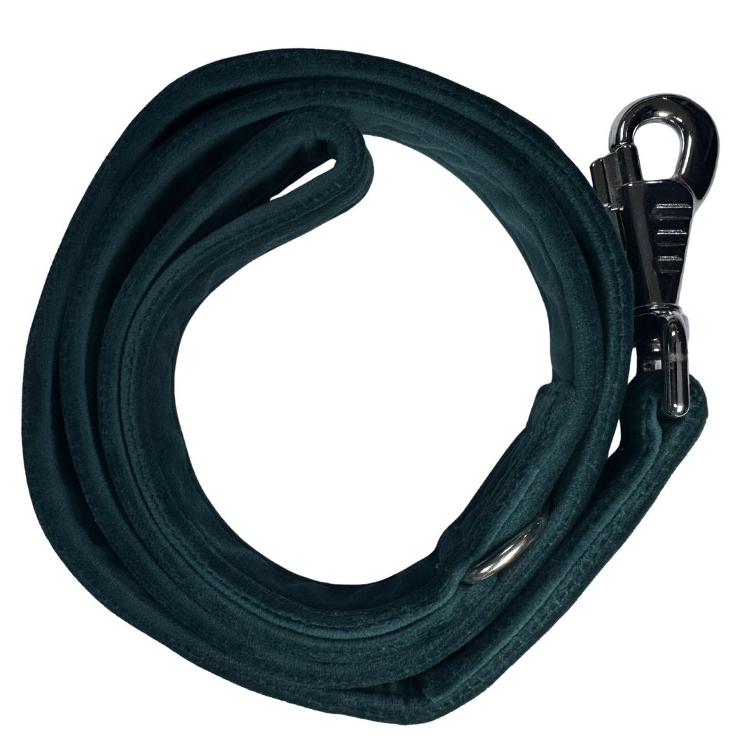 Teal velvet dog lead with metal clip