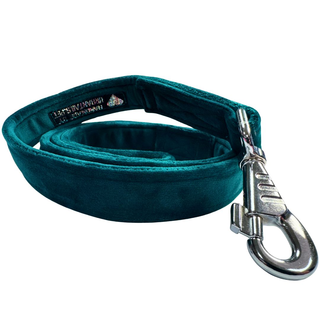 Teal velvet dog leash with a silver clasp