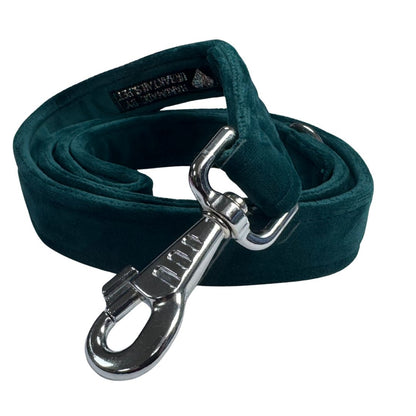 Teal dog leash with silver clip