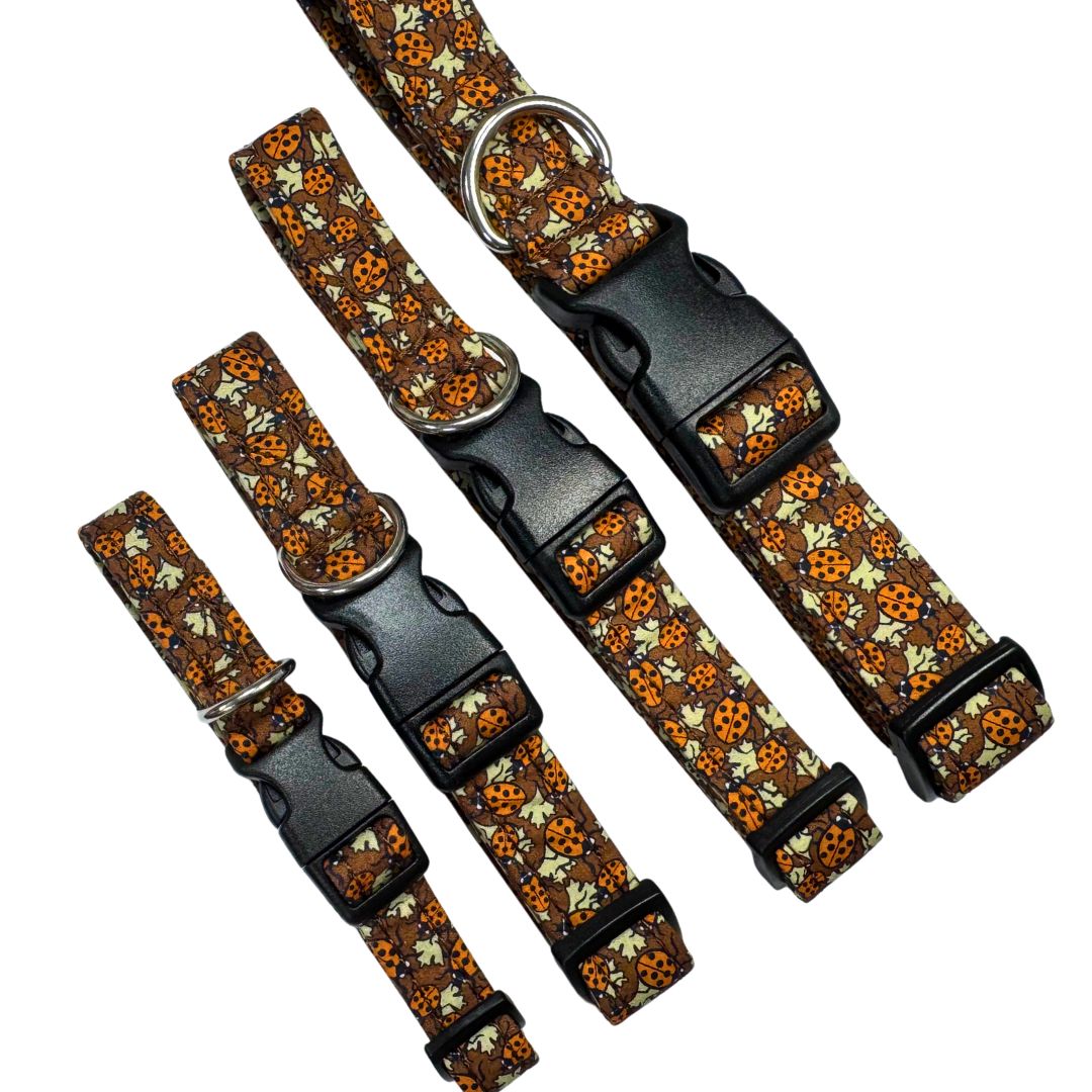 Set of ladybird patterned dog collars with black buckles