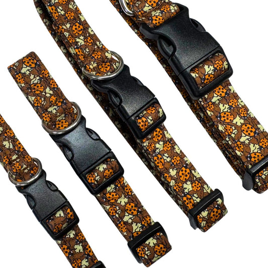 A close up of a set of ladybird patterned dog collars with black buckles