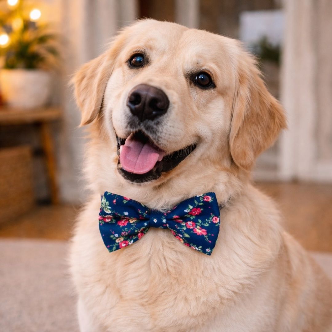 A large dog wearing a bloom floral bow tie indoors