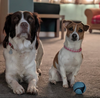 Malcolm, Lilly and Harvey