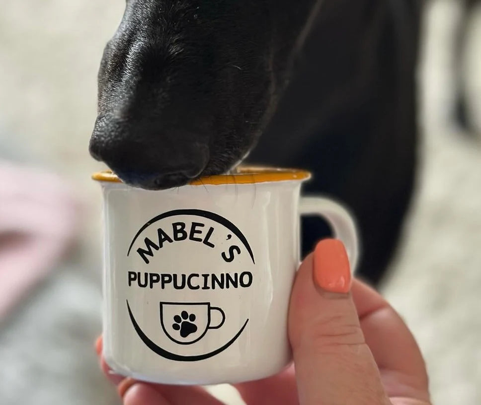 Name Pup Cup Enamel Cup