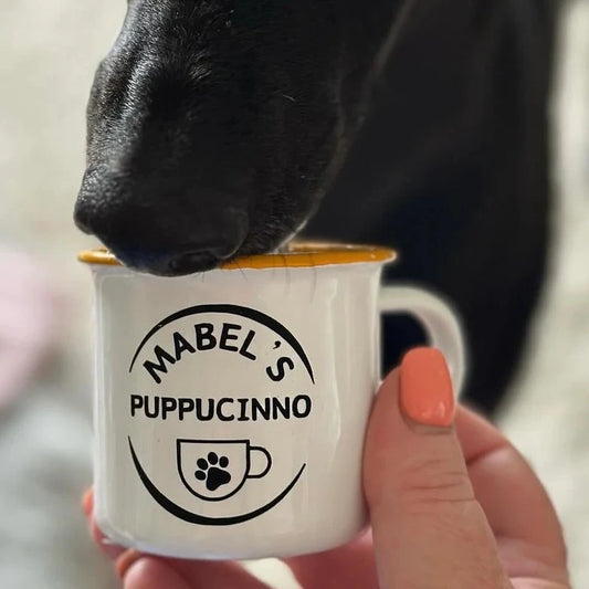 Mabel's snoot enjoying a Puppuccino in a personalised cup