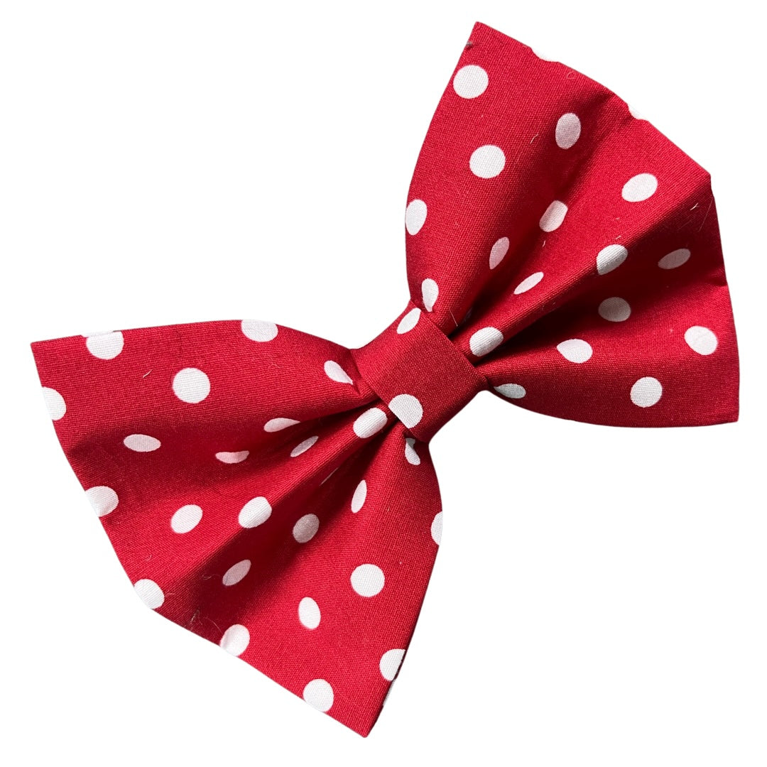 A red dog bow tie with white polka dots.