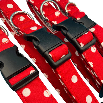 A collection of red dog collars with white polka dots and black plastic buckles.