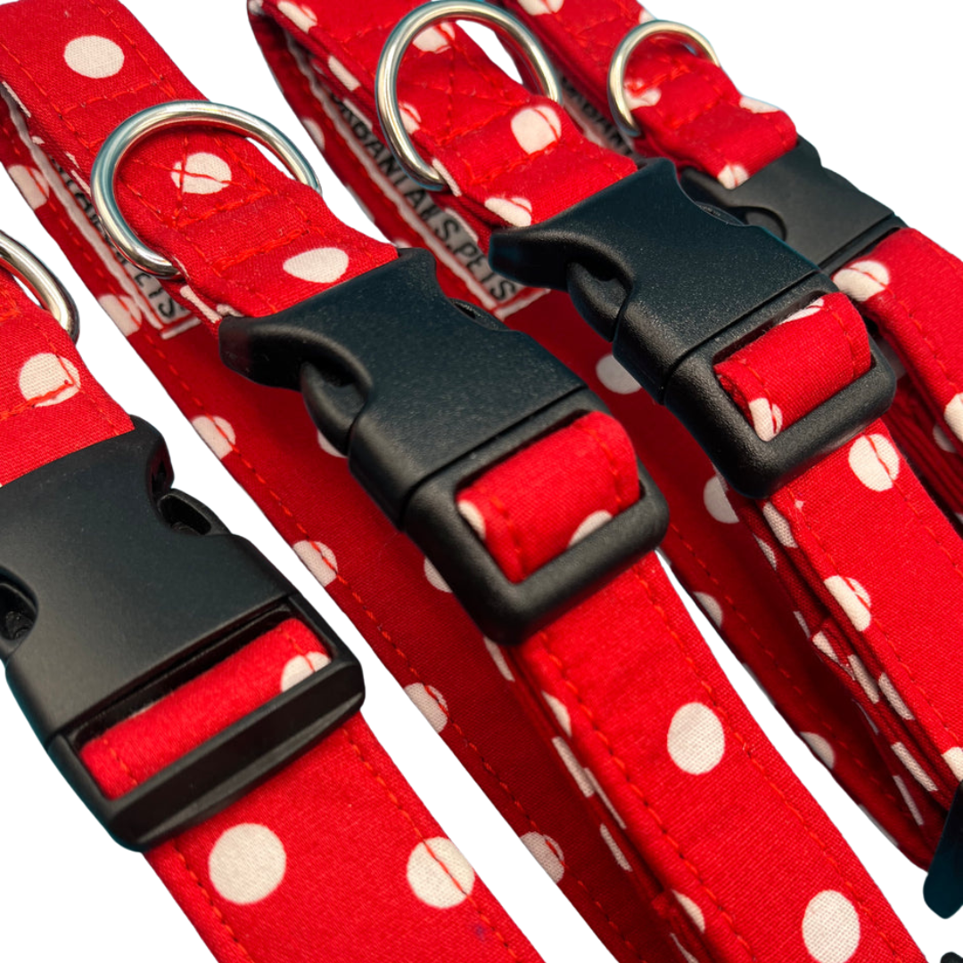A collection of red dog collars with white polka dots and black plastic buckles.