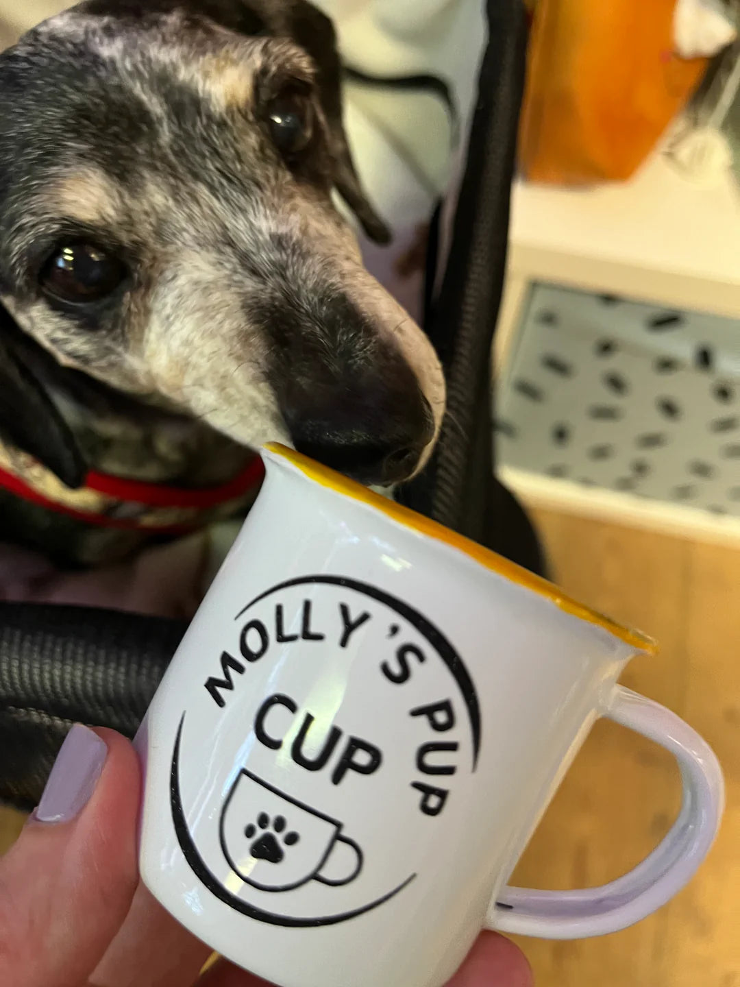 Name Pup Cup Enamel Cup