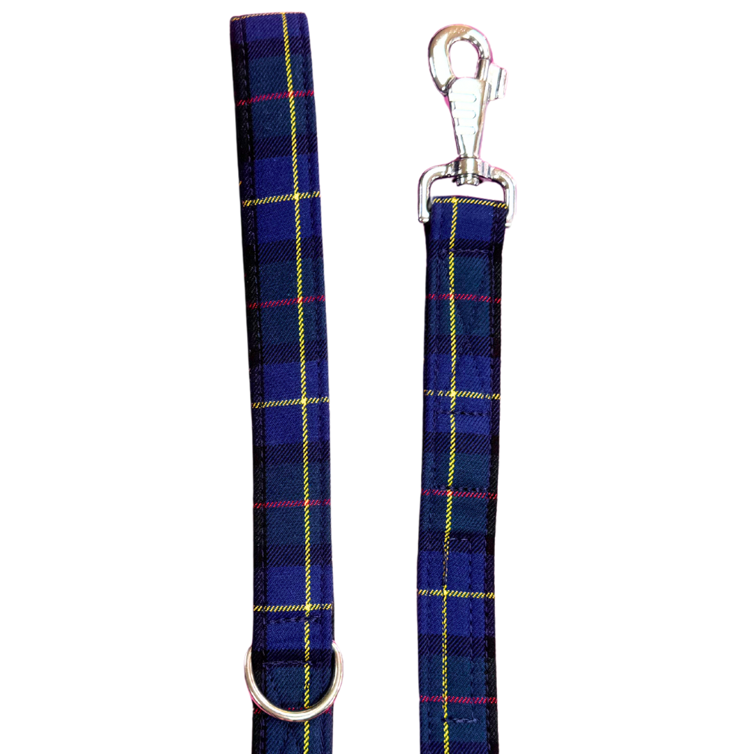 Tartan dog leash with metal clip on a white background