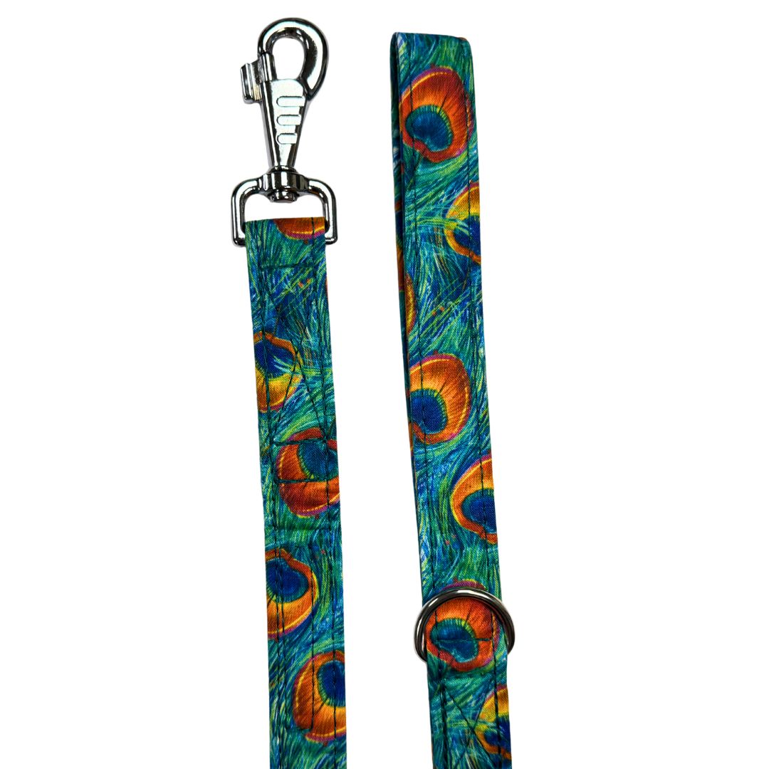Blue, green and Orange peacock feather patterned dog lead with silver clip