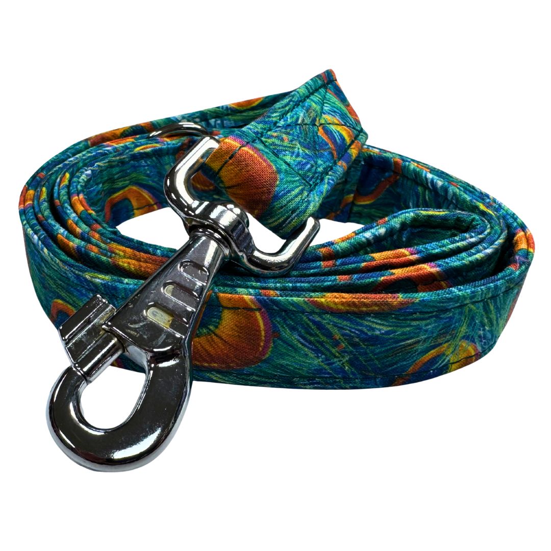 A coiled blue, green and Orange peacock feather patterned dog lead with silver clip