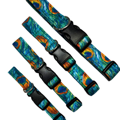 Set of colourful peacock feather dog collars