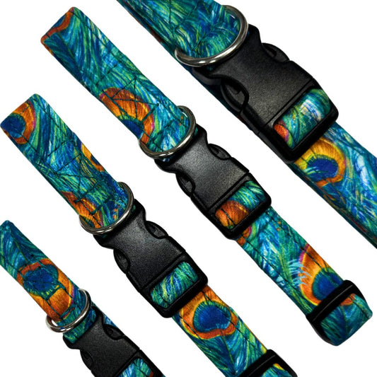 Close up of a set of colourful peacock feather-patterned dog collars with black buckles