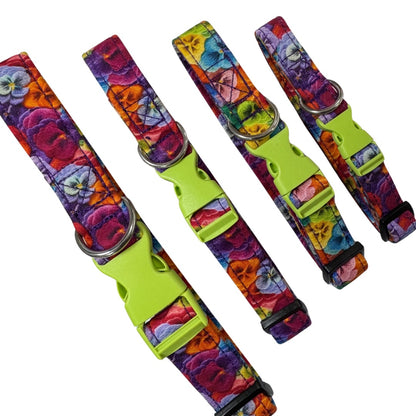 A colourful pansy patterned floral dog collars