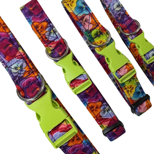 Colourful floral pansy patterned dog collars with silver metal hardware and green plastic clips.