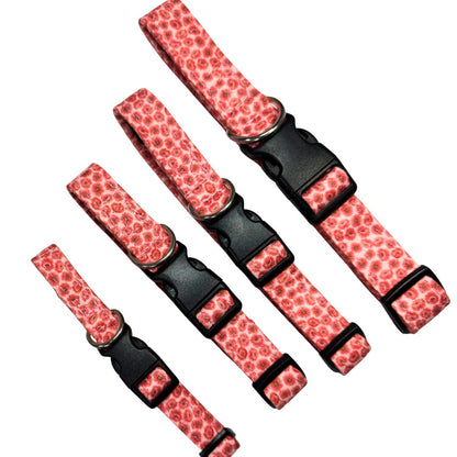 Set of pink patterned dog collars with black buckles