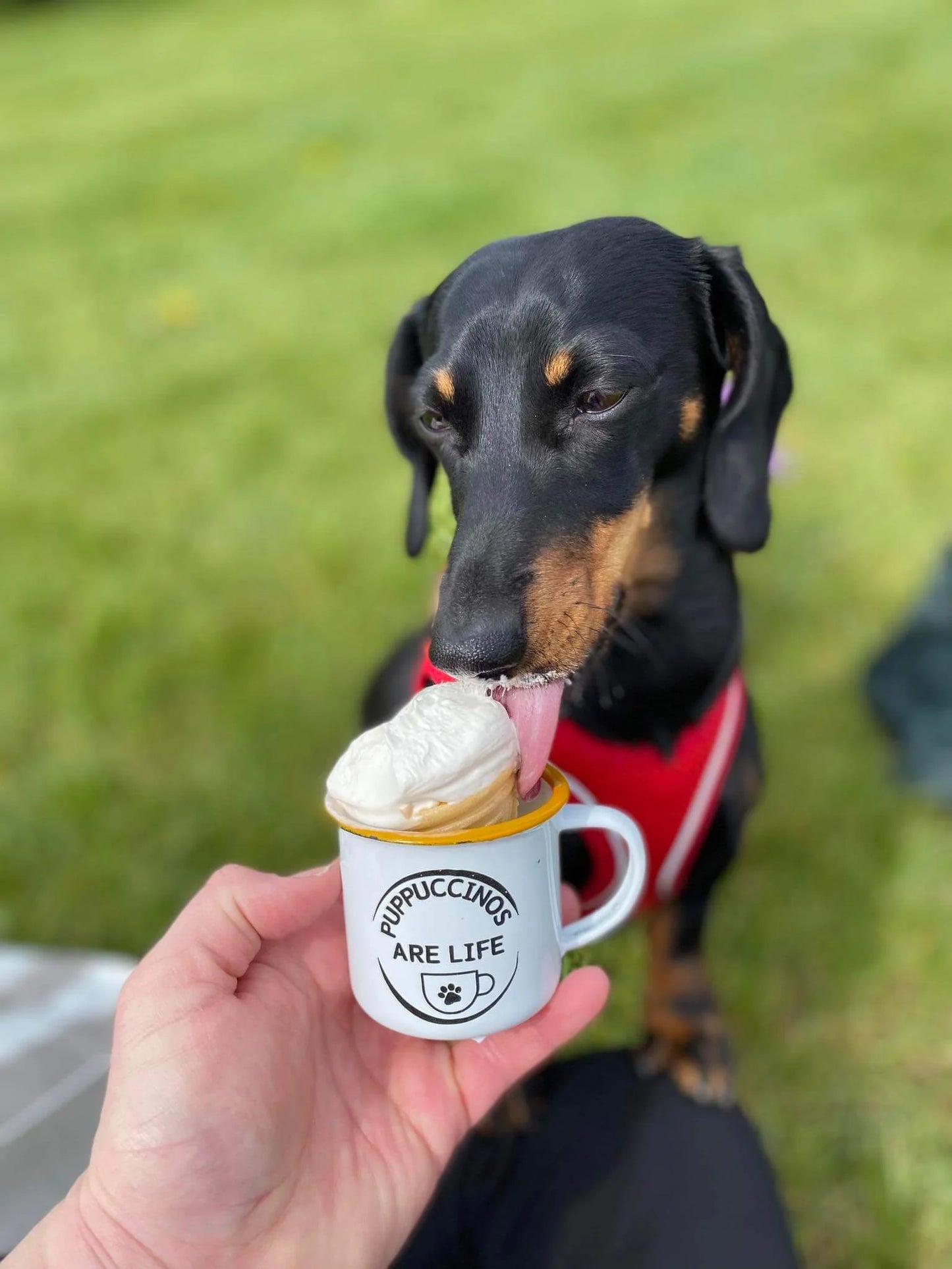 Puppuccino's are Life Enamel Cup