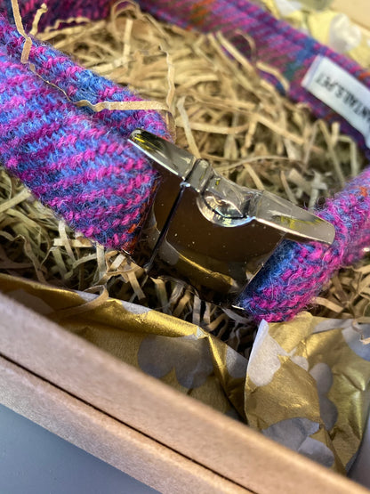Pink and purple Harris Tweed fabric dog collar with a metal buckle in a decorative box.