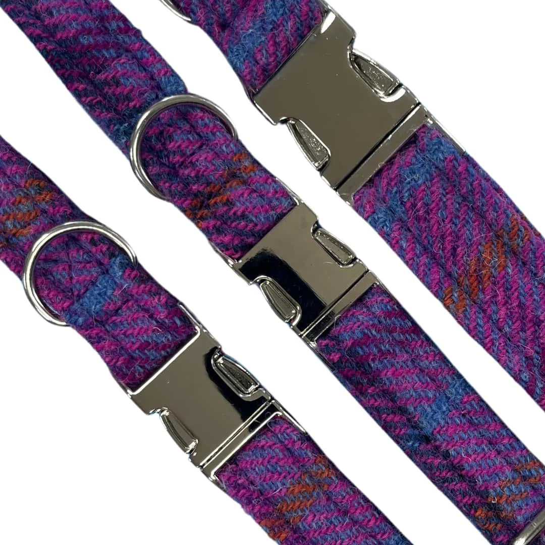 Purple and pink tartan dog collar with silver buckle and d-ring