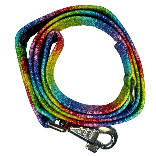 A top view of a multicoloured dog leash with metal clip
