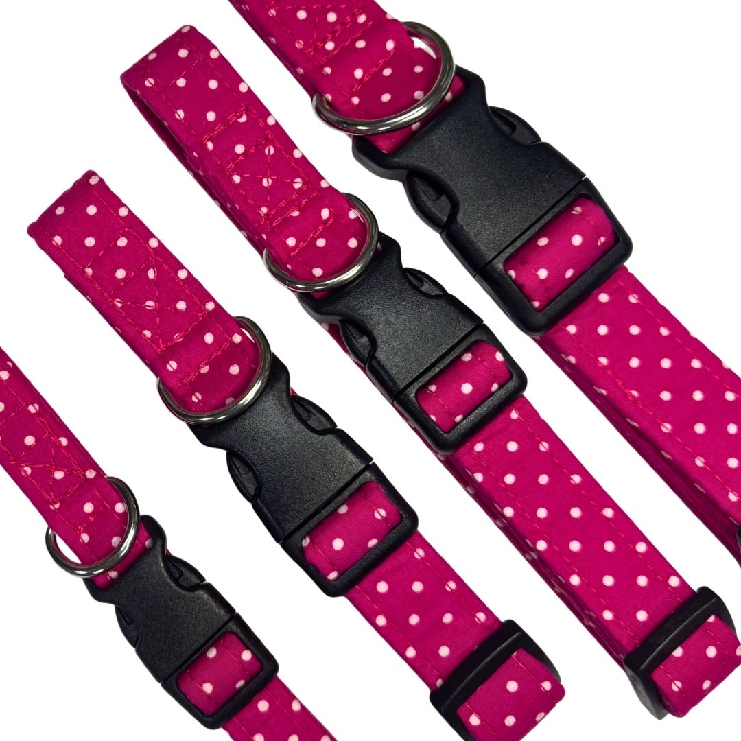 Pink dog collars with white polka dots and black buckles