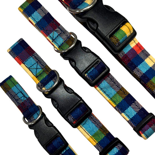 A close up of the Richmond tartan dog collars with black buckles