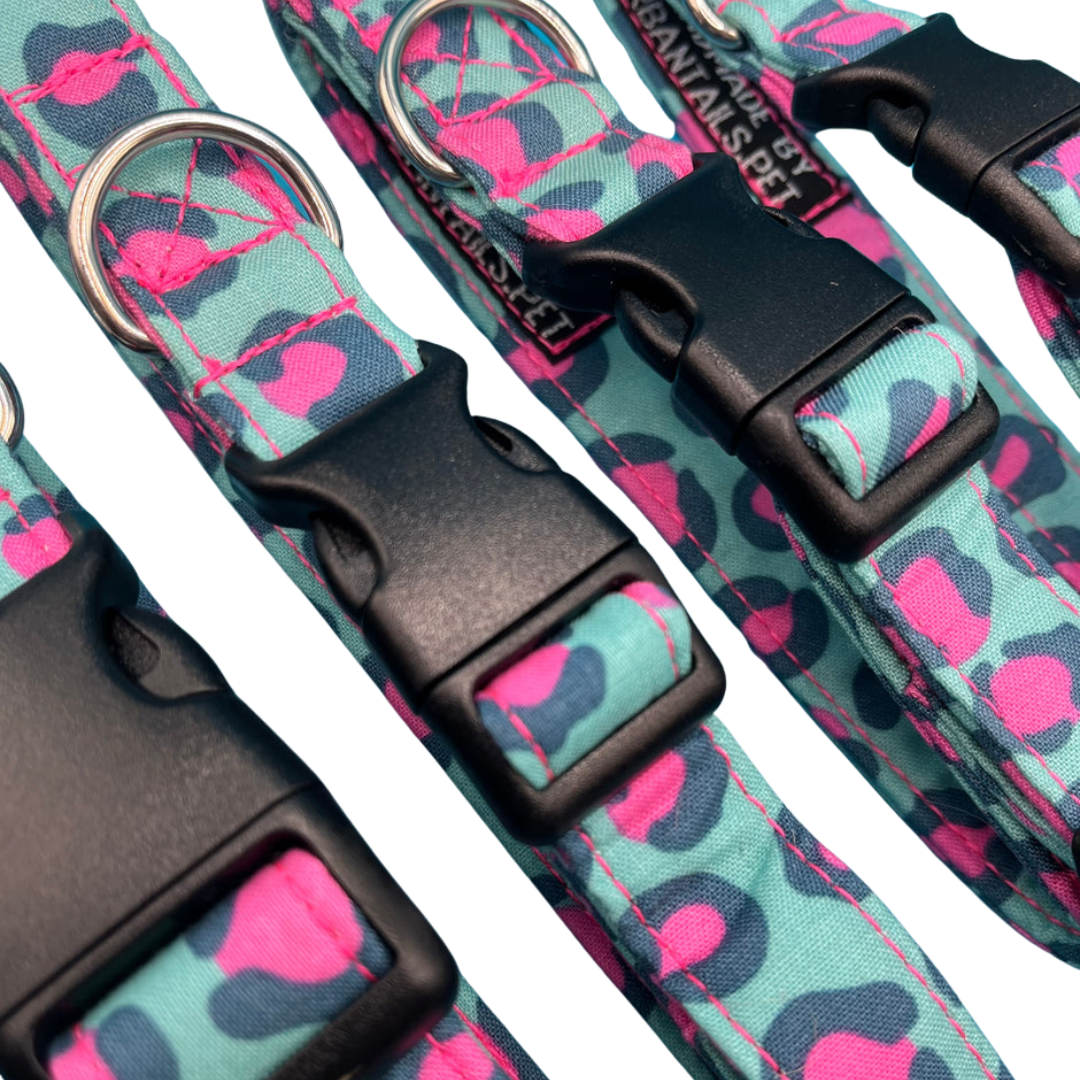 A close up of four adjustable dog collars with a leopard print pattern in pink and green, with plastic buckles, and a metal D-ring for lead attachment.