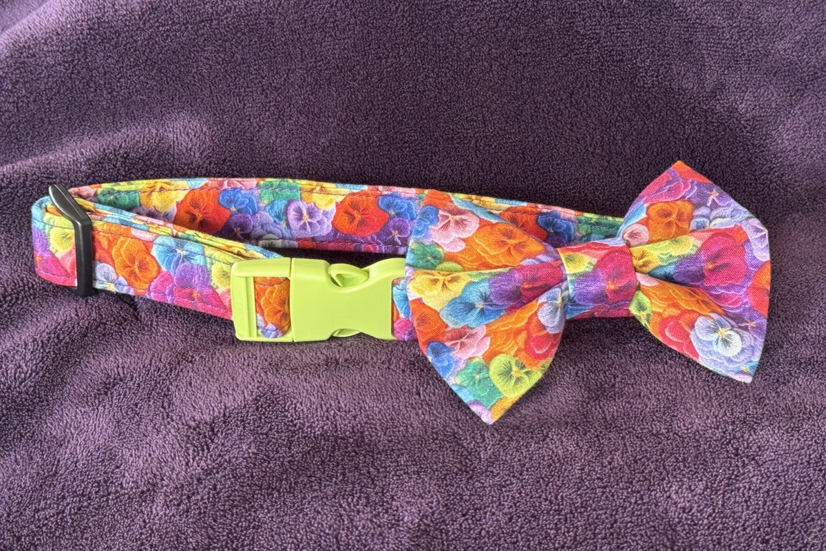 Colourful dog collar with a bow tie on a purple fabric background